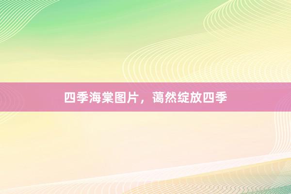 四季海棠图片，蔼然绽放四季