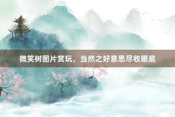 微笑树图片赏玩，当然之好意思尽收眼底