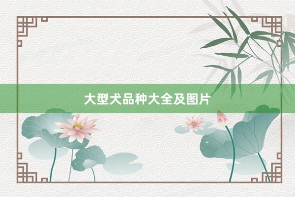 大型犬品种大全及图片