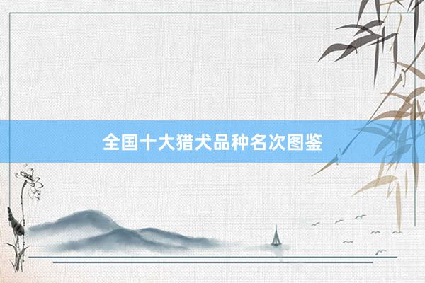 全国十大猎犬品种名次图鉴