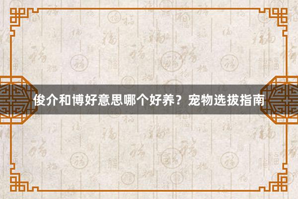 俊介和博好意思哪个好养？宠物选拔指南